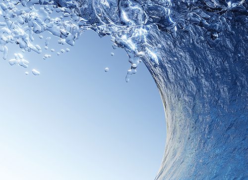 riding the wave