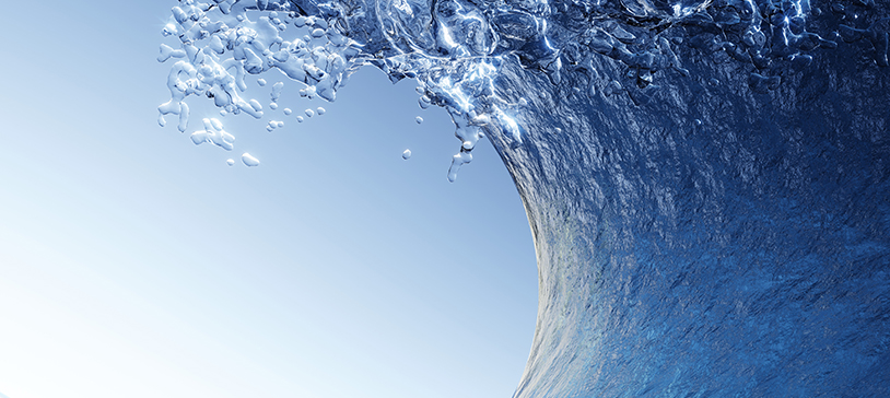 riding the wave