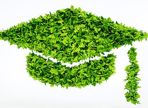 The Green Transition