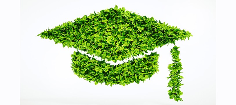 The Green Transition